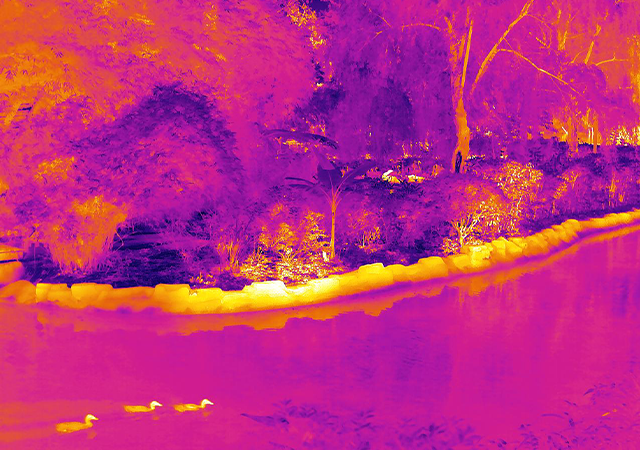 Thermal Imaging for Animals Observation